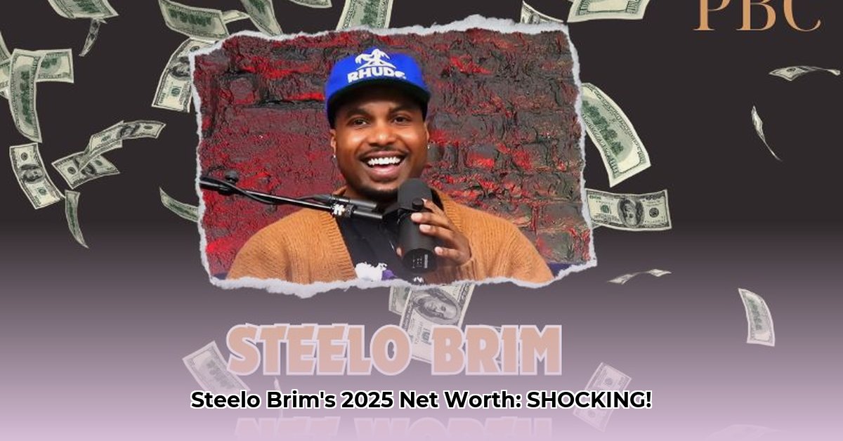 what-is-steelo-brims-net-worth